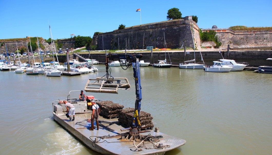 Île d'Oléron Frankreich Atlantik - Le Château d'Oléron Festung Austernboot
