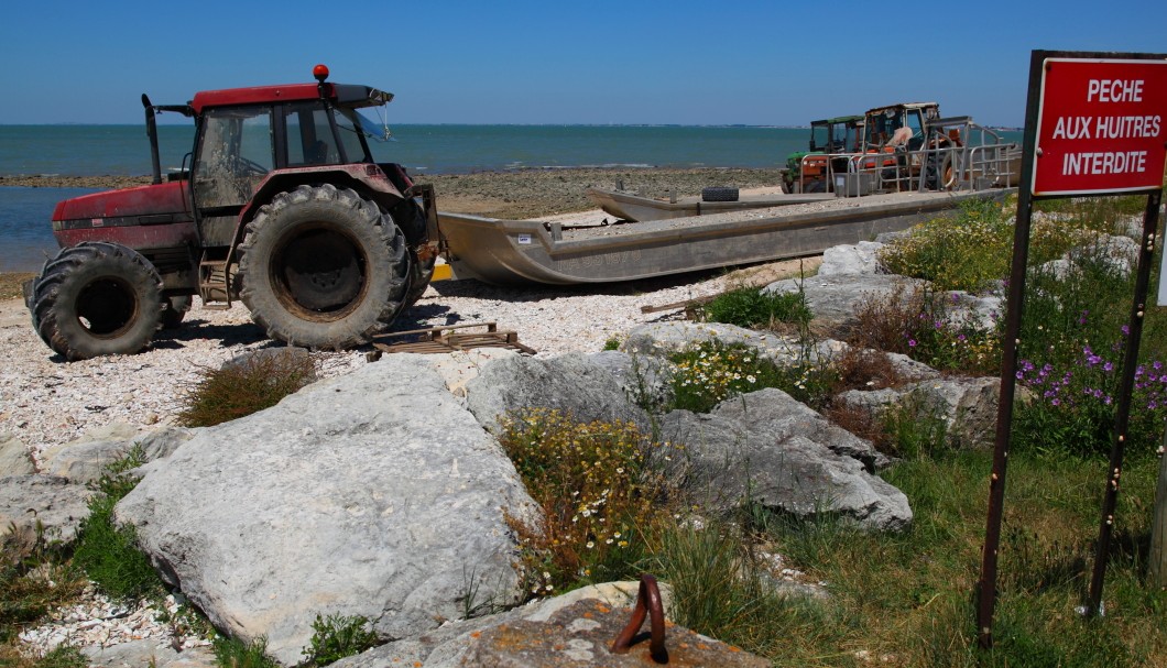 Fouras-les-Bains an der Atlantikküste - Pointe-de-la-Fumée Material für Austernzucht 1