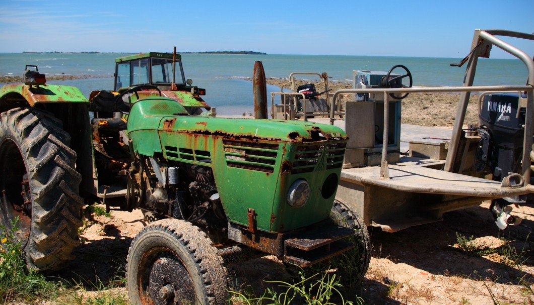 Fouras-les-Bains an der Atlantikküste - Pointe-de-la-Fumée Material für Austernzucht 3