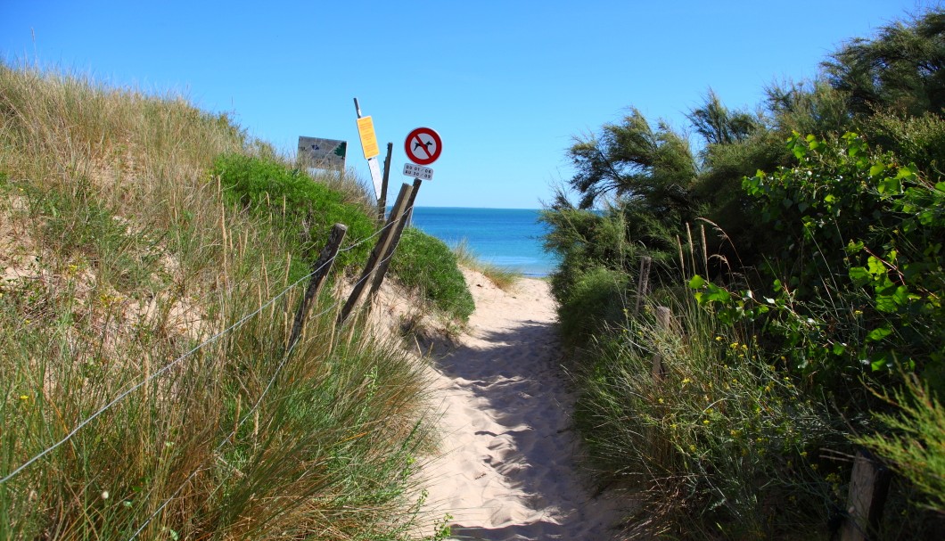 Île de Ré Frankreich Atlantik - Dünenzugang zum Strand