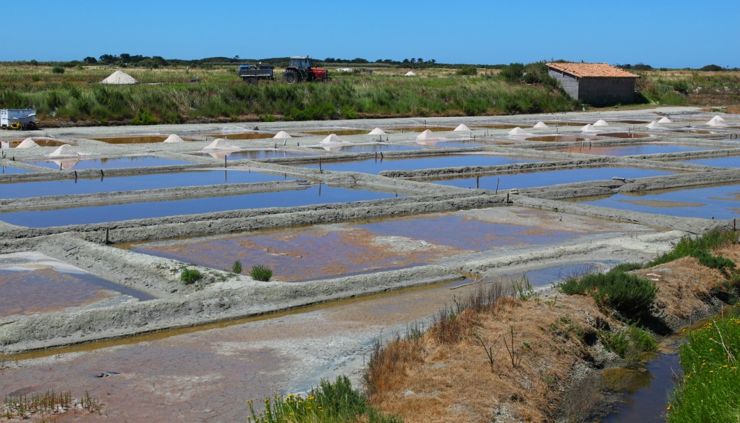 Île de Ré Frankreich Atlantik - Saline