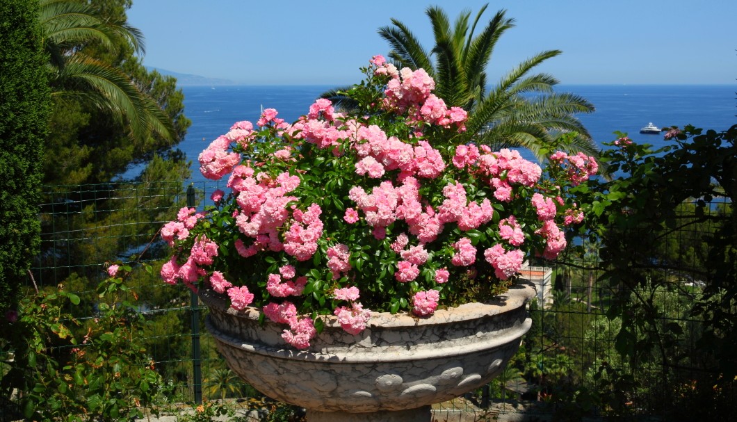 Villa Ephrussi de Rothschild - 