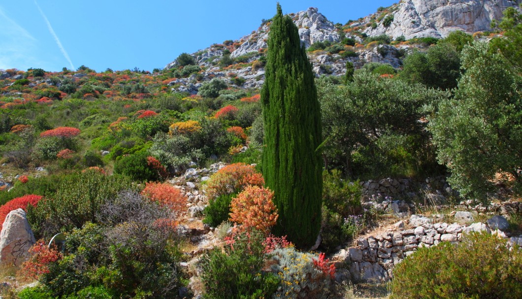 Corniches Côte d'Azur - Bergwelt