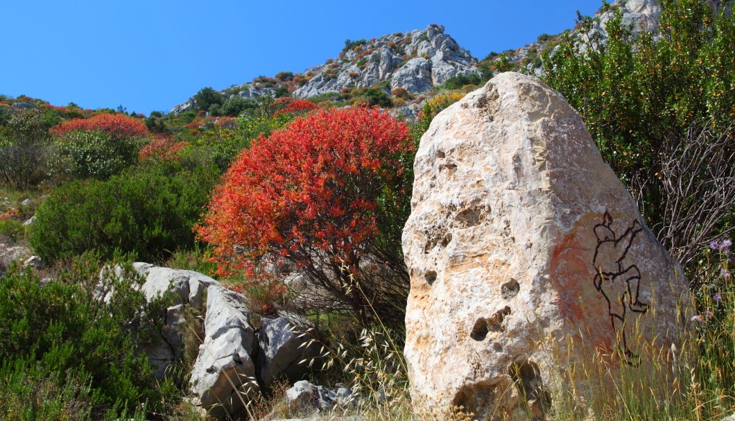 Corniches Côte d'Azur - Detail Bergwelt