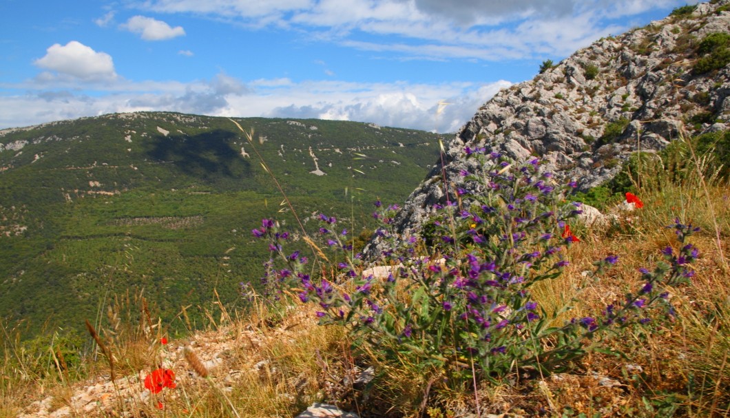 Verdon-Schlucht - 