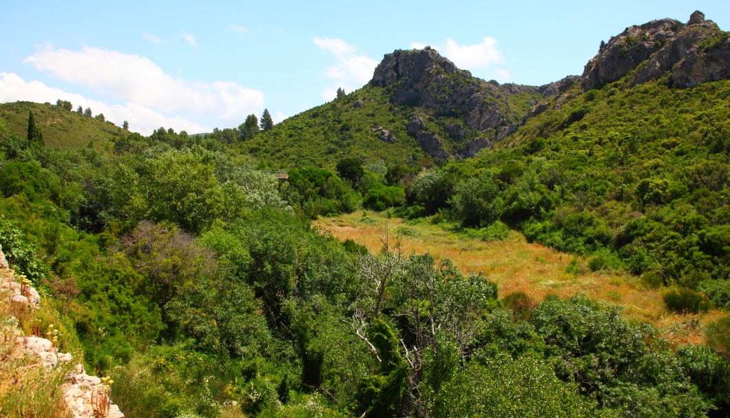 Corbières in Südfrankreich - Landschaft Garrigue