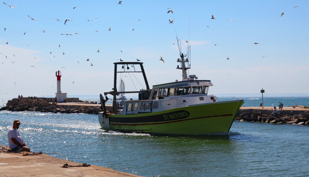 Le Grau-du-Roi in Südfrankreich am Meer - Hafen 1