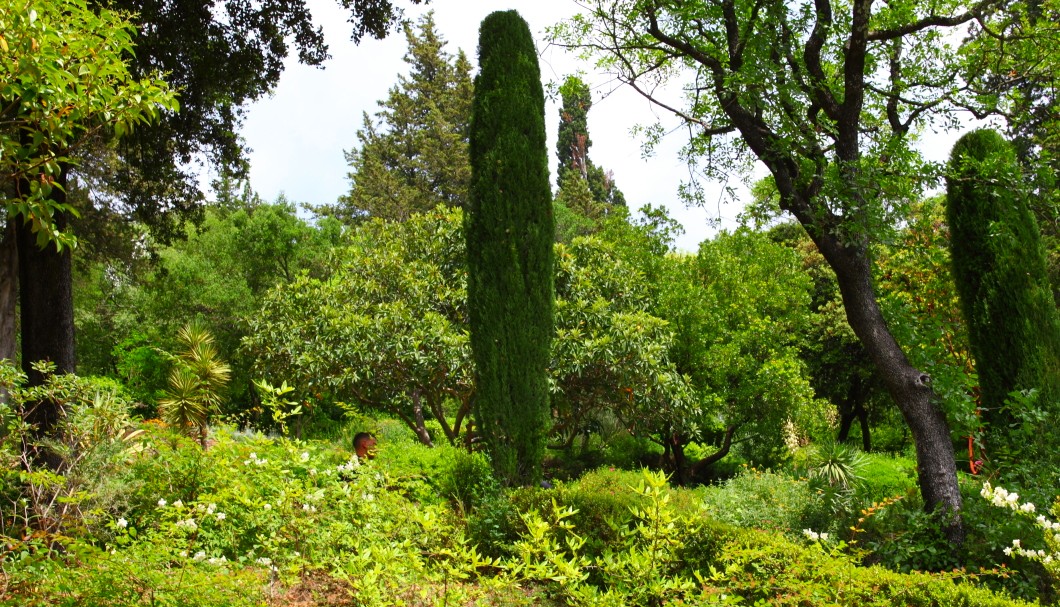 Nîmes in Südfrankreich - Gärten Jardins de la Fontaine 3