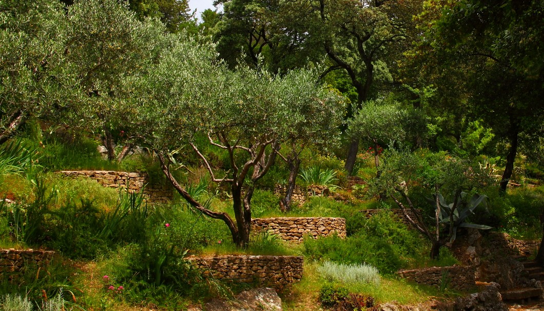 Nîmes in Südfrankreich - Gärten Jardins de la Fontaine 4