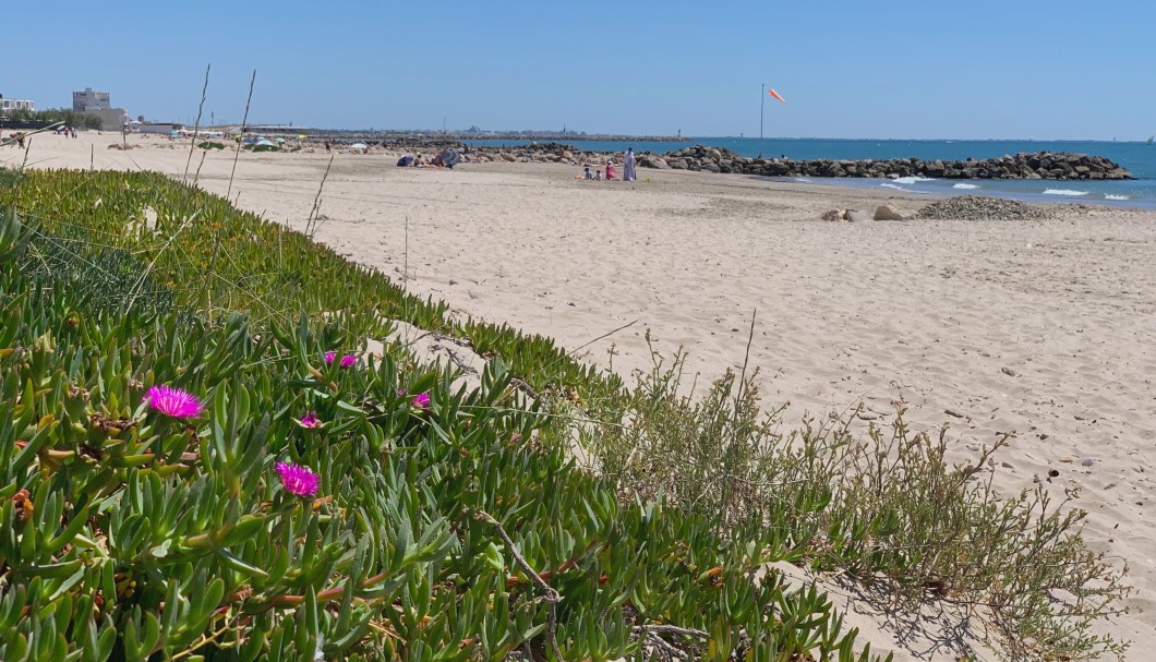 Palavas-les-Flots in Südfrankreich am Meer - 