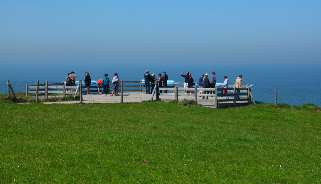 Cap Gris Nez in Nordfrankreich am Meer - 