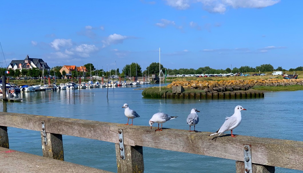 Le Crotoy Sommebucht Nordfrankreich - 