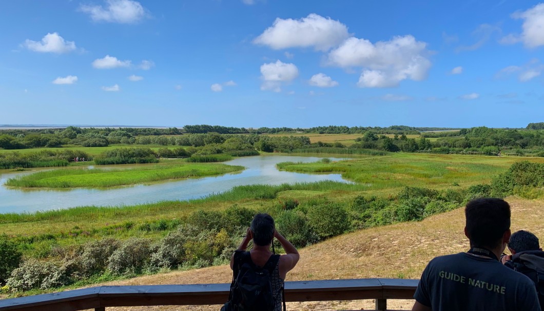 Parc du Marquenterre Sommebucht Nordfrankreich - 