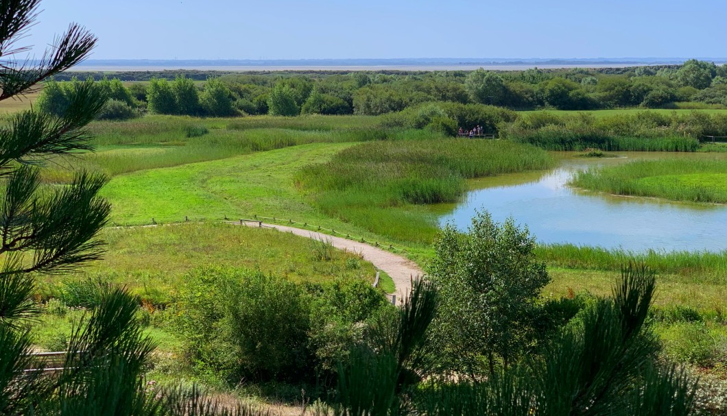 Parc du Marquenterre Sommebucht Nordfrankreich - 