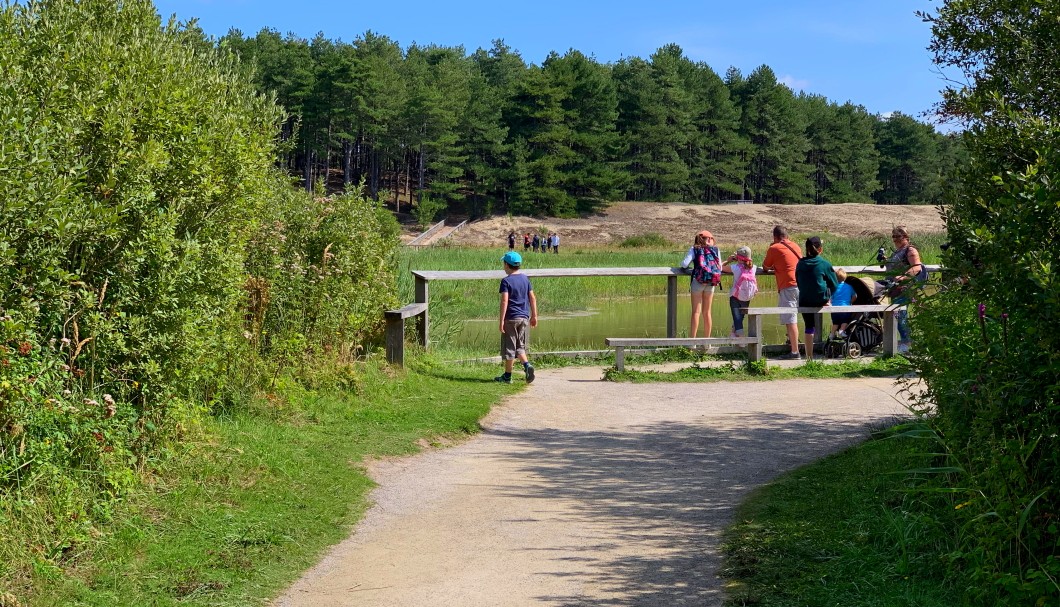 Parc du Marquenterre Sommebucht Nordfrankreich - 