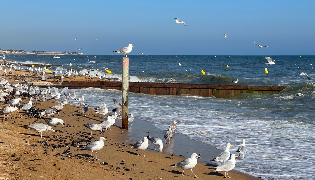 Normandie-Urlaub am Meer in Colleville-Montgomery