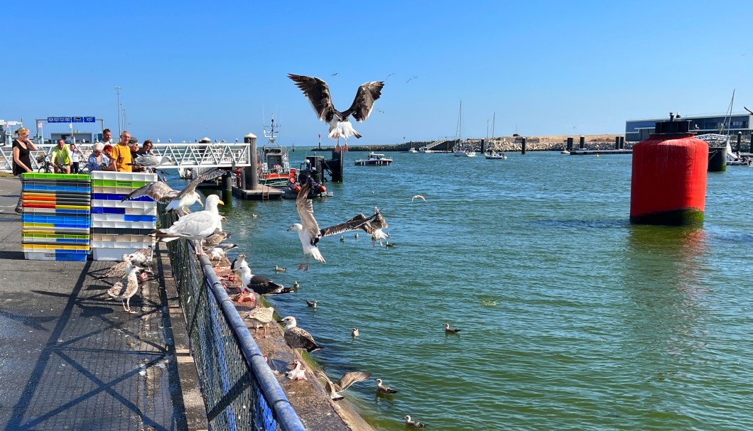 Normandie-Urlaub am Meer in Ouistreham