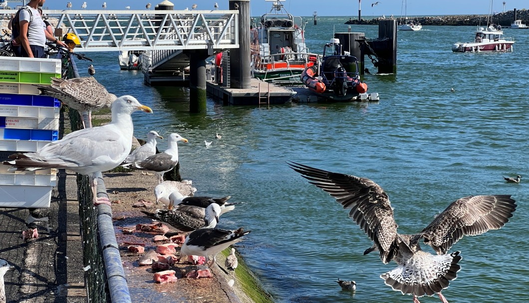 Normandie-Urlaub am Meer in Ouistreham