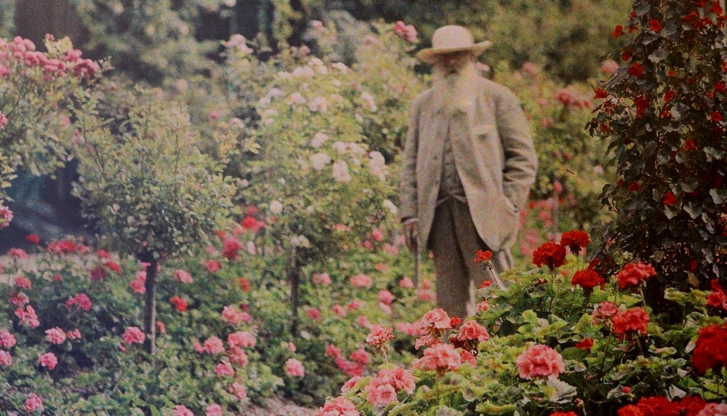 Monet im Garten zwischen Rosen