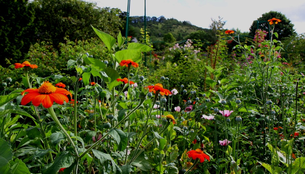 Normandie Garten von Monet 