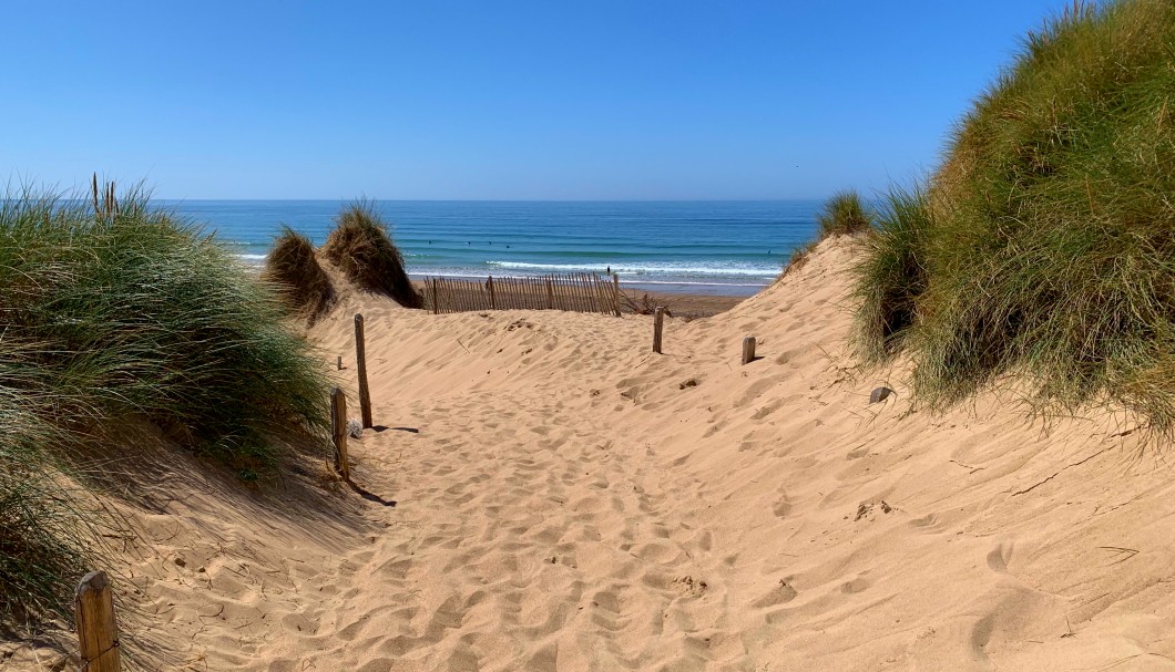 Normandie-Urlaub am Meer - Dünen von Biville