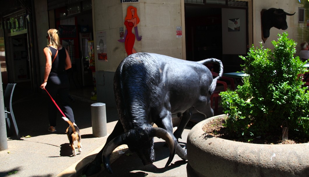 Arles Provence - Stier