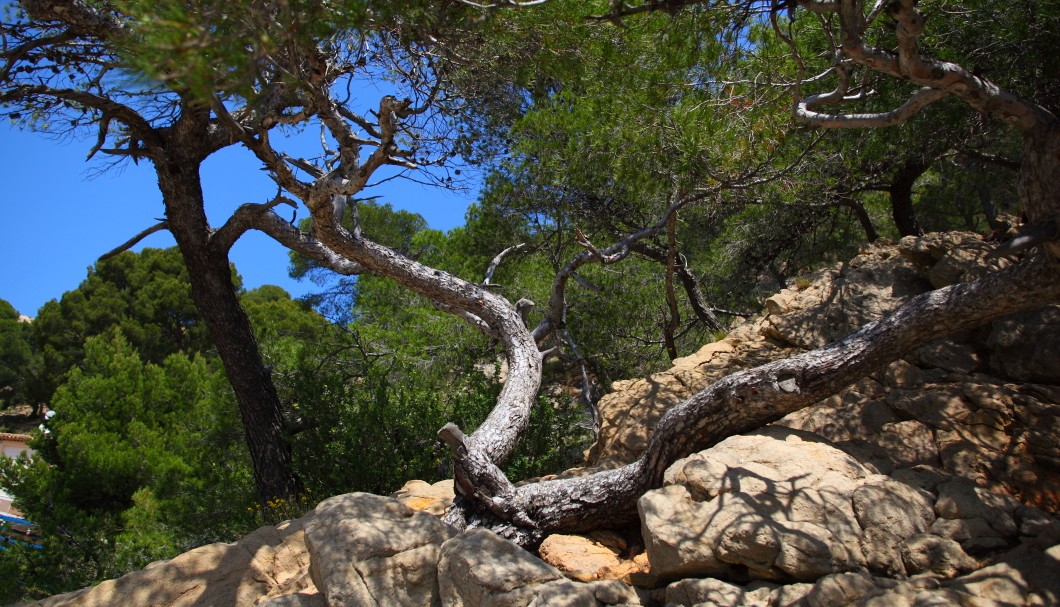 Grand Méjean Calanque Côte Bleue Provence - 