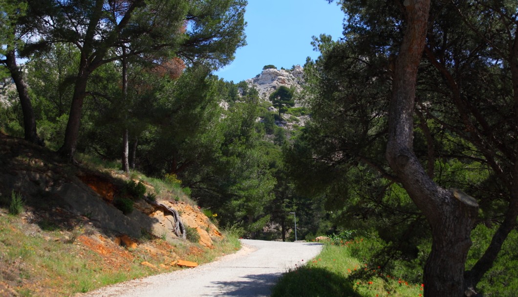 Grand Méjean Calanque Côte Bleue Provence - 