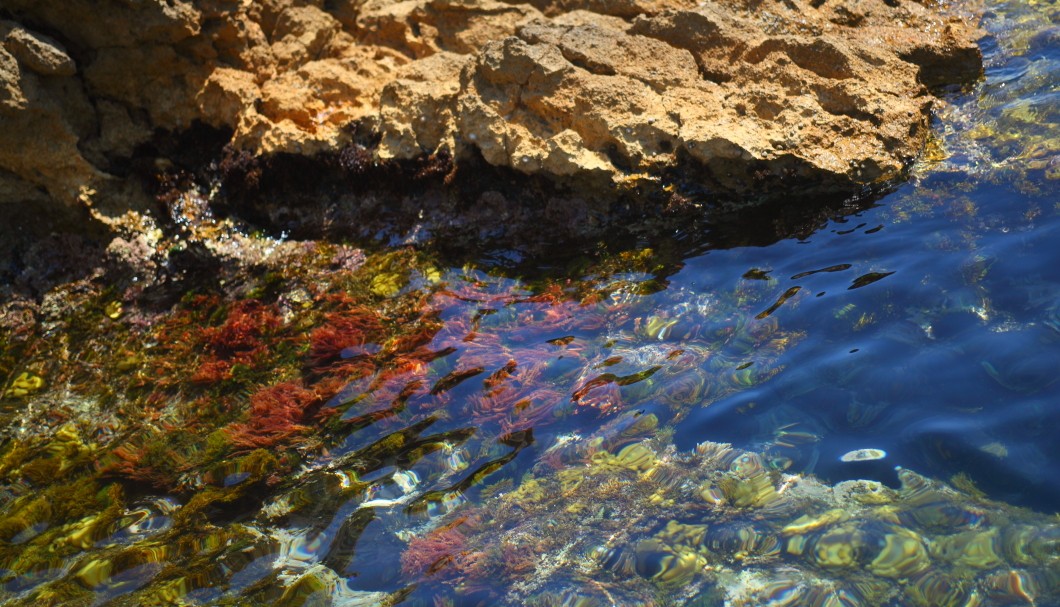 Calanques Côte Bleue Provence - La Redonne 6