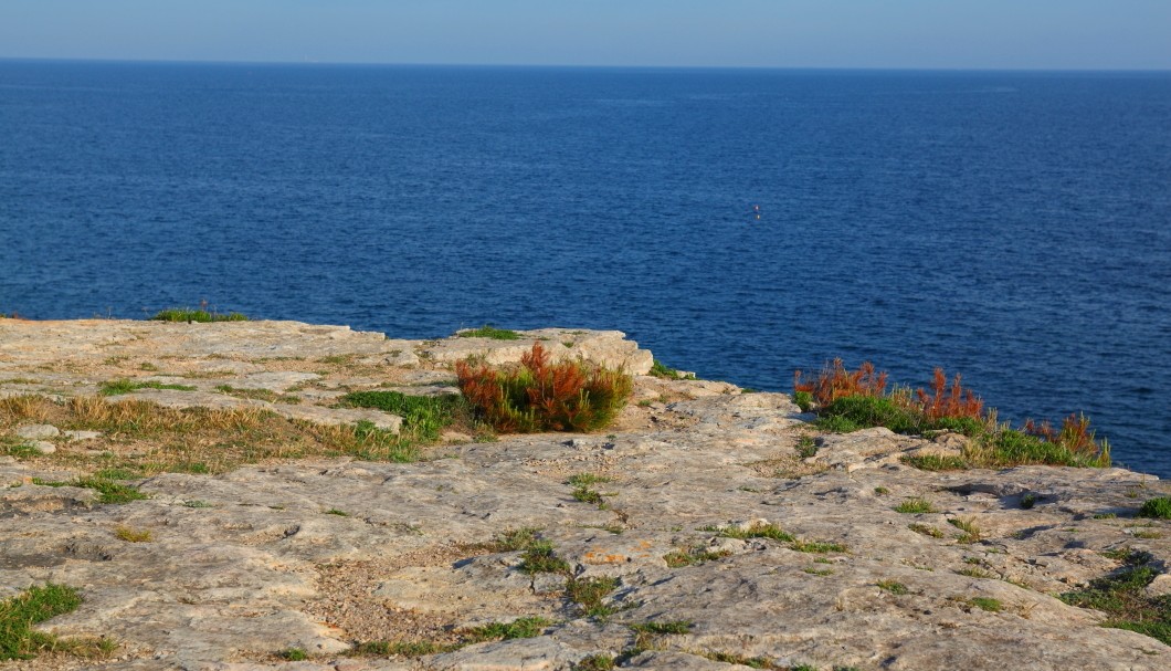 La Couronne Côte Bleue Provence - 