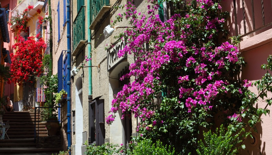 Collioure