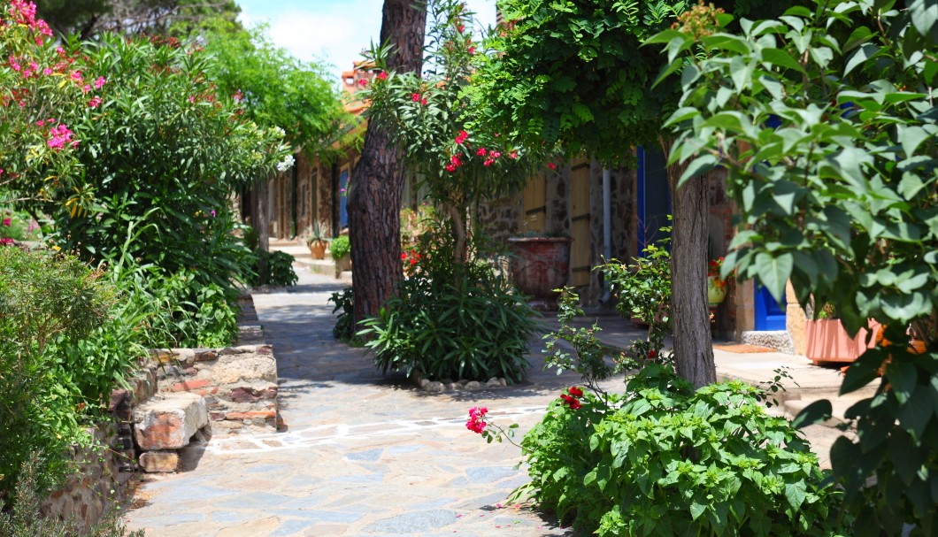 Collioure